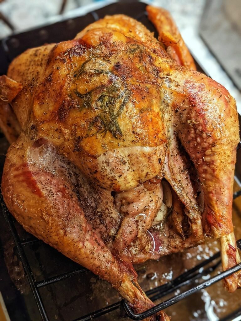 thanksgiving turkey, food, dish, meal, cuisine, delicious, tasty, thanksgiving, poultry, holiday dinner, celebration, roasted meat, thanksgiving turkey, thanksgiving, thanksgiving, thanksgiving, thanksgiving, thanksgiving